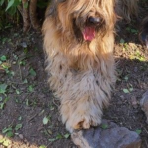 Meet your Posher, Tammy